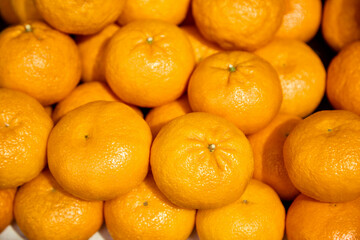 Lots of ripe tangerines. Close up.