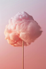 Dreamy Pink Cotton Candy on Stick