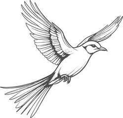 Hand-drawn one-line vector art illustration of a flying bird