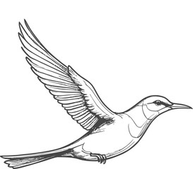 Hand-drawn one-line vector art illustration of a flying bird