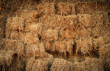 Dry straw bale and agricultural byproducts. stacked yellow straw bales for animal fodder and...