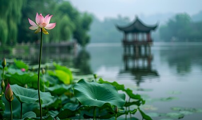 A blooming lotus in the lotus pond, with a blurred octagonal pavilion in the distance, Generative AI 