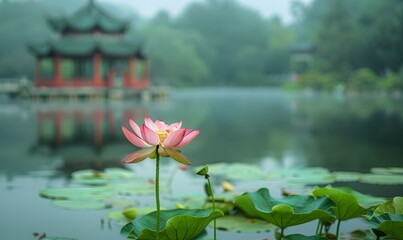 A blooming lotus in the lotus pond, with a blurred octagonal pavilion in the distance, Generative AI 