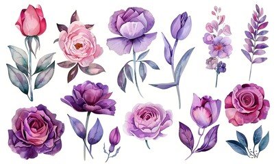 Floral roses and tulips elements set. Watercolor botanical illustration, Generative AI 
