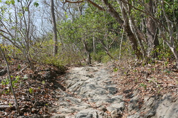 Wanderweg an der Küste von Küste von Montezuma auf der Halbinsel Nicoya bei Puntaremas in Costa Rica durch tropischen Wald