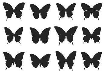 Silhoette buterfly set. Isolated black on white background