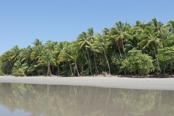 Sandstrand am flachen Meer mit tropischem Wald und Kokospalmen in Costa Rica an der Küste von...