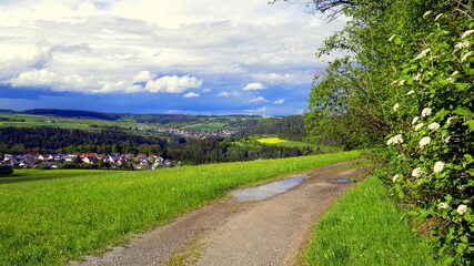 herrliches Panorama im Schwarzwald vom Höhenweg  auf Wald und grüne Wiesen unter weißen Wolken