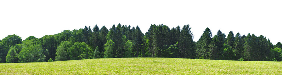 Forest edge with Meadow without Sky - Transparent PNG Background
