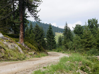 Fototapeta premium Dirt road