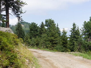 Fototapeta premium Dirt road