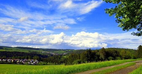 herrliches Panorama im Schwarzwald vom Höhenweg  auf Wald und grüne Wiesen unter weißen Wolken
