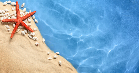 summer background with small shells and starfish on the sand and sea waves