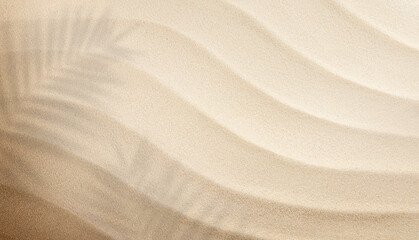 summer sand background with shadows from palm leaves