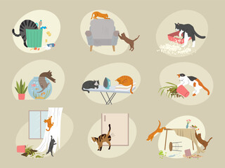 Behavior cats. Domestic pets kitten destroying home rooms indoor scratching furniture recent vector cats pictures in flat style