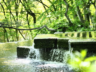 夏らしい自然の中に作成した井戸形状の噴水