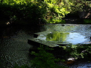 夏らしい自然の中に作成した井戸形状の噴水