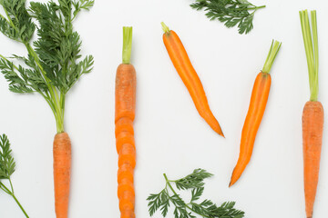 Flat lay with fresh carrots and leaves on white background, top view