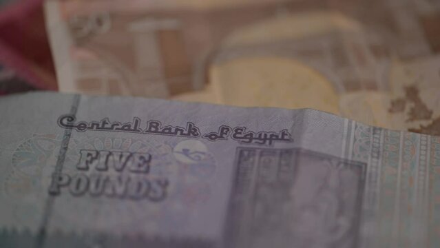 Macro do Egyptian pounds banknotes