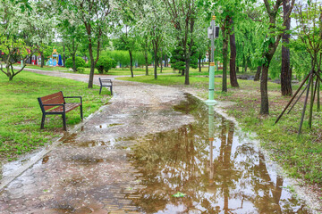 the scenery of the park's walking paths in the spring with trees and flowers wet in the rain