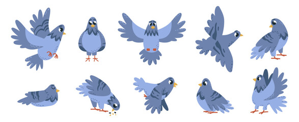 Cartoon pigeon. Isolated birds, emotional pigeons flying eating and sleeping. Dove in different poses. Urban street bird, classy vector set