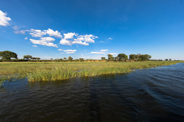 Beautiful panorama view at the area of ​​the Okawango River near Divundu and Mahango national...