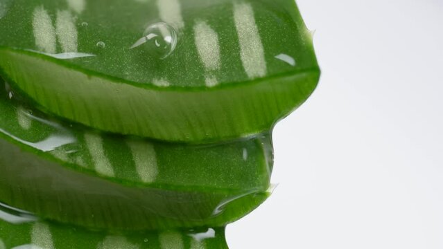 Transparent extract flows through the leafes of the aloe vera. Extract from leaves of Aloe vera. Gel serum of Aloe Vera. Aloe Vera gel drop in slow motion. Rotation