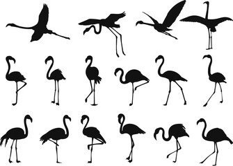 flamingo silhouette set on white background vector © zolotons