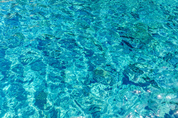 Il mare dell'isola di Palmarola Ponza