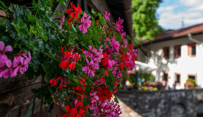 Traditional alpine houses with flowers on balcony. Colorful and picturesque village. Alpine village...