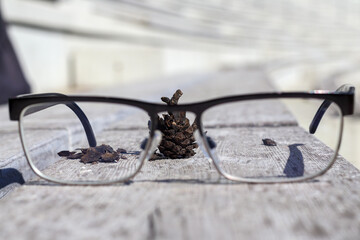
glasses on a wooden bench and pine cones behind the glasses in the background