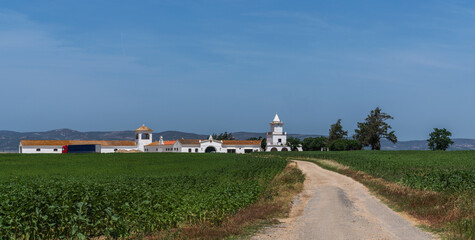 Fototapeta premium Beautiful old agricultural farm in Spain. Rural landscape of farm with dirt road entrance and fields on the side of the road, located in the rural areas of northern spain.