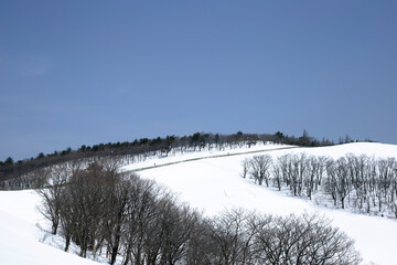 한국의 겨울풍경