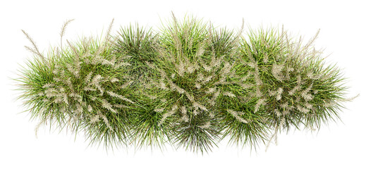 Top view flowery grassy meadow group on transparent backgrounds 3d rendering png