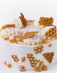 Elegant honeycomb cake on white background