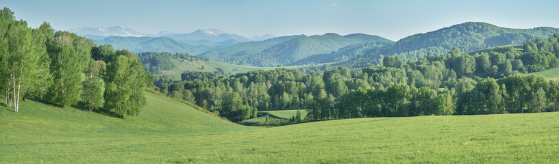 View of mountains in spring, greenery of forests and meadows, panoramic view	