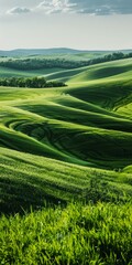 Green rolling hills of Tuscany Italy