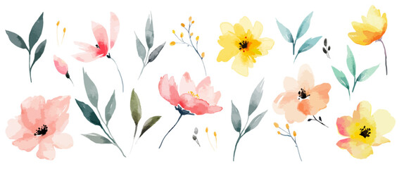 Watercolor vector flower set. Delicate abstract watercolor flowers and leaves