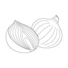 Hand drawn kids drawing cartoon Vector illustration onion icon Isolated on White