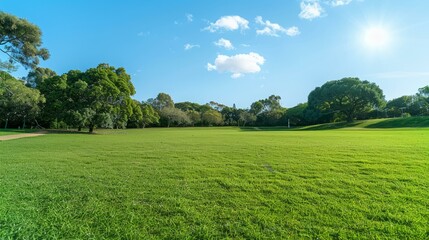 Green Grass Field Under Blue Sky