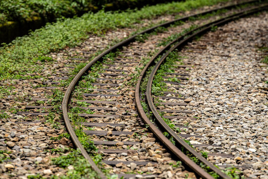 Rails abandonn&eacute;s au milieu d'une for&ecirc;t o&ugrave; la nature rattrape ses droits