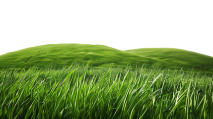 緑の芝の丘、背景透過
