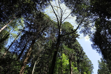 日本　茨城の風景