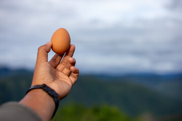 Selective focus boiled chicken eggs. Background, natural mountain view, high angle, green, bright sky. Simple breakfast amid nature on a high mountain.