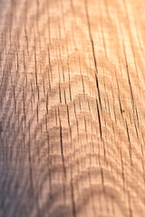 Wooden texture with natural patterns. Abstract background and texture for design.