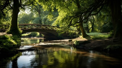 Stone bridge over a stream .