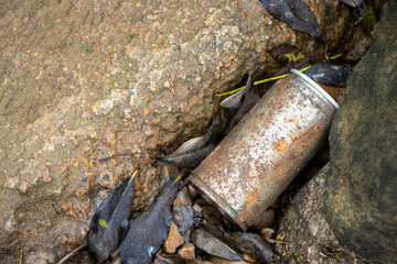 selective rusted steel cans Garbage left in nature There is space for text.