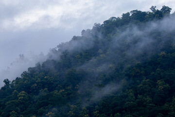 The background texture of mountains in the rainy season and the icy rain fog feels cool and refreshing with the green color of the forest that is cool and pleasing to the eye.