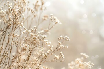 Bird's-eye view of a poppy field next to a grain field in Rheinhessen - Germany near Flonheim. Beautiful simple AI generated image in 4K, unique.