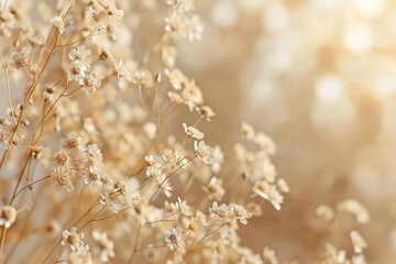 Blooming red poppy in a wheat field - Papaver rhoeas .. Beautiful simple AI generated image in 4K, unique.